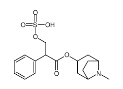 (8-methyl-8-azabicyclo[3.2.1]octan-3-yl) 2-phenyl-3-sulfooxypropanoate Structure