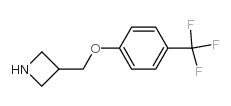 3-(4-Trifluoromethyl-phenoxymethyl)-azetidine Structure