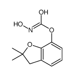 (2,2-dimethyl-3H-1-benzofuran-7-yl) N-hydroxycarbamate Structure