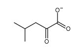 4-methyl-2-oxopentanoate Structure