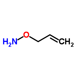 O-Allyl-hydroxylamine picture