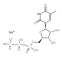 5-IODO-URIDINE-5'-TRIPHOSPHATE, SODIUM SALT picture