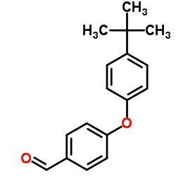 4-(4-TERT-BUTYLPHENOXY)BENZALDEHYDE picture