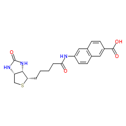 1217755-61-7 structure