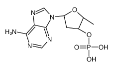 PHOSPHORICACID[5-(6-AMINOPURIN-9-YL)-2-METHYLTETRAHYDROFURAN-3-YL]ESTER Structure