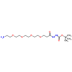 Amino-PEG4-hydrazide-Boc图片