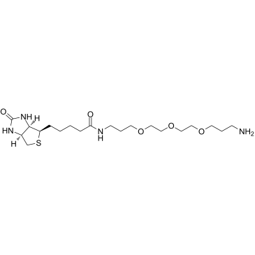 Biotin-PEG3-C3-NH2 picture