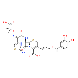 7-(2-(2-aminothiazol-4-yl)- 2-(1-carboxyl-1-methylethoxyimino)acetamido)-3-(3-(3,4-dihydroxybenzoyloxy)-1-propen-1-yl)-3-cephem-4-carboxylic acid结构式