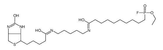 FP-Biotin Structure