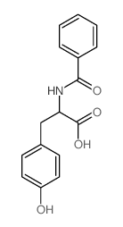 CR 559 structure