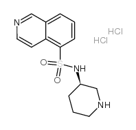 N-[(3R)-piperidin-3-yl]isoquinoline-5-sulfonamide,dihydrochloride structure