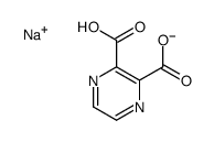 sodium hydrogen pyrazine-2,3-dicarboxylate结构式