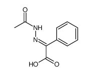 (E)-2-(2-Acetylhydrazono)-2-phenylacetic acid picture