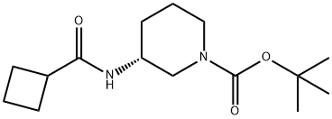 (R)-tert-Butyl 3-(cyclobutanecarbonylamino)piperidine-1-carboxylate图片