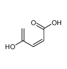 2,4-Pentadienoic acid, 4-hydroxy- (9CI) picture