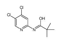 N-(4,5-DICHLOROPYRID-2-YL)-PIVALOYLAMIDE Structure