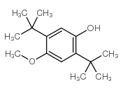 2,5-DI-TERT-BUTYL-4-HYDROXYANISOLE Structure