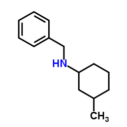 N-Benzyl-3-methylcyclohexanamine Structure