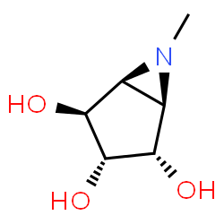 6-Azabicyclo[3.1.0]hexane-2,3,4-triol, 6-methyl-, (1alpha,2alpha,3alpha,4beta,5alpha)- (9CI) Structure