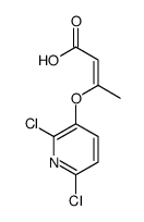 3-(2,6-dichloropyridin-3-yl)oxybut-2-enoic acid Structure