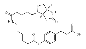 3-(4-(N-生物素-6-氨基己羧基)苯基)丙酸结构式