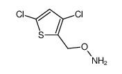 O-[(3,5-dichlorothiophen-2-yl)methyl]hydroxylamine Structure