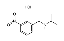 Isopropyl-(3-nitro-benzyl)-amine; hydrochloride结构式