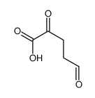 2,5-dioxopentanoic acid结构式