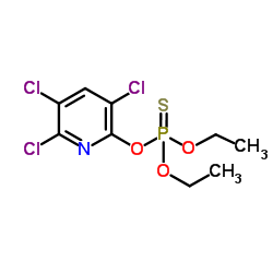 2921-88-2 structure