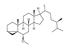 (3β,5α,6β,24R)-6-Methoxy-3,5-cycloergostane结构式