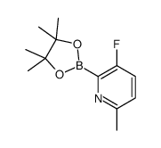 3-Fluoro-6-methylpyridine-2-boronic acid pinacol ester picture