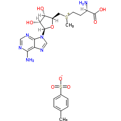 17176-17-9 structure