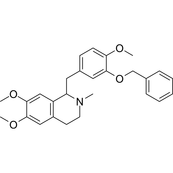 OY-101 Structure