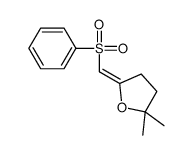 5-(benzenesulfonylmethylidene)-2,2-dimethyloxolane结构式