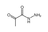 pyruvate hydrazone picture