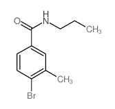 4-BROMO-3-METHYL-N-PROPYLBENZAMIDE picture