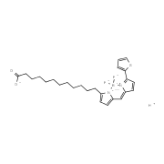 BODIPY 558/568 C12结构式