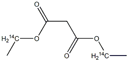 23178-23-6 structure