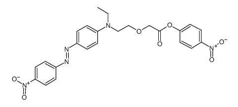 NF31 picture