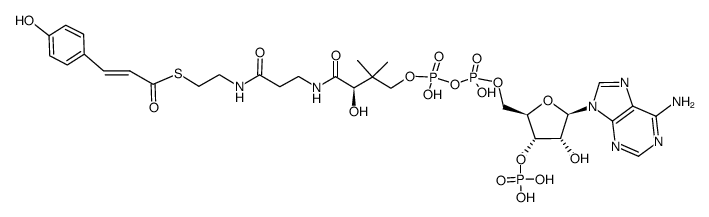 4-coumaroyl-CoA Structure