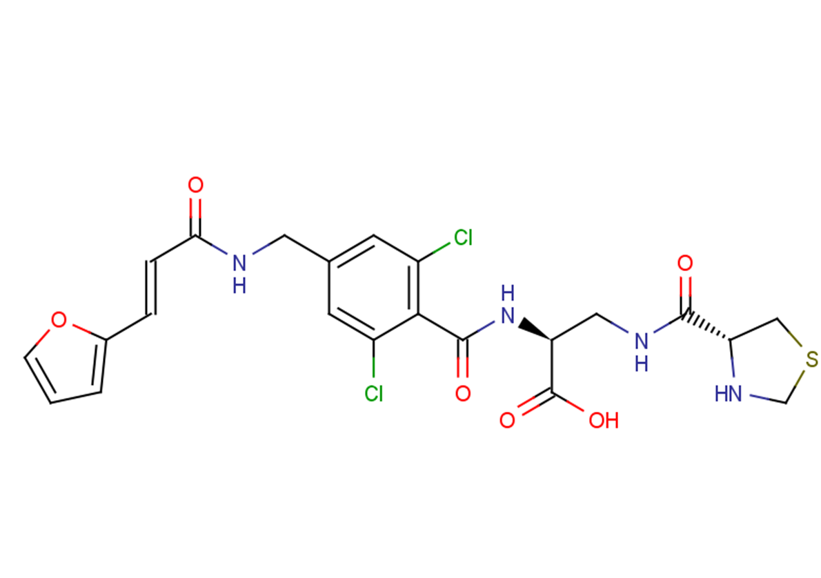 ICAM-1988 Structure