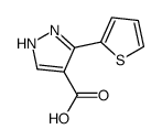 3-(2-噻吩)-1H-吡唑-4-羧酸图片