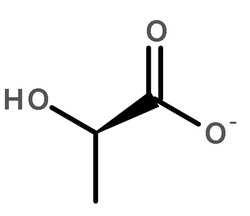 D-乳酸脱氢酶图片