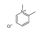 1,6-dimethylpyridine chloride picture