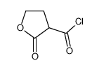 3-Furancarbonyl chloride, tetrahydro-2-oxo- (9CI) structure