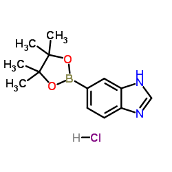 6-(4,4,5,5-tetramethyl-1,3,2-dioxaborolan-2-yl)-1H-benzo[d]imidazole hydrochloride picture