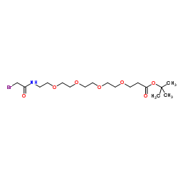 1807521-00-1 structure