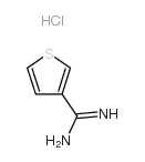 thiophene-3-carboximidamide,hydrochloride picture