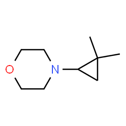 Morpholine,4-(2,2-dimethylcyclopropyl)- picture