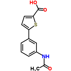 5-(3-acetamidophenyl)thiophene-2-carboxylic acid结构式